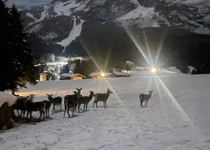 Apartment Ca' Scalinatella